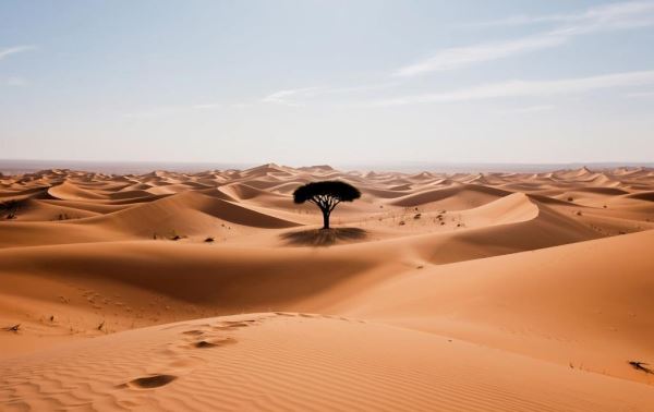 Сахара стала пустыней благодаря человеку, предполагают ученые