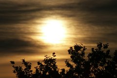 Ученые решили провести пугающую манипуляцию с Солнцем