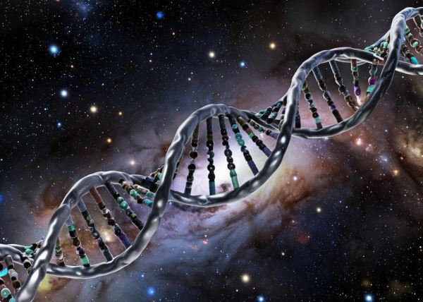 Учёный утверждает, что обнаружил доказательства присутствия внеземного ДНК в организме человека