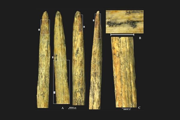 В России обнаружили уникальный древний артефакт возрастом 80 тысяч лет