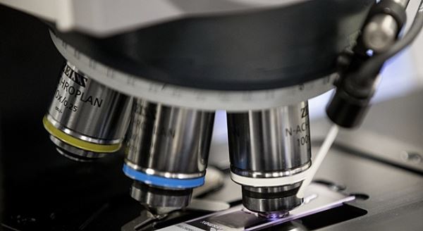 Обнаружен новый уникальный организм