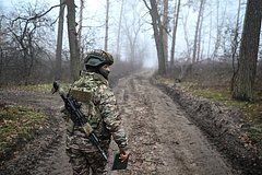 Стало известно об уничтожении минировавших лес диверсантов ВСУ