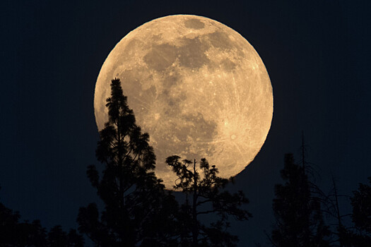 Космонавт рассказал, где лучше всего строить поселения на Луне